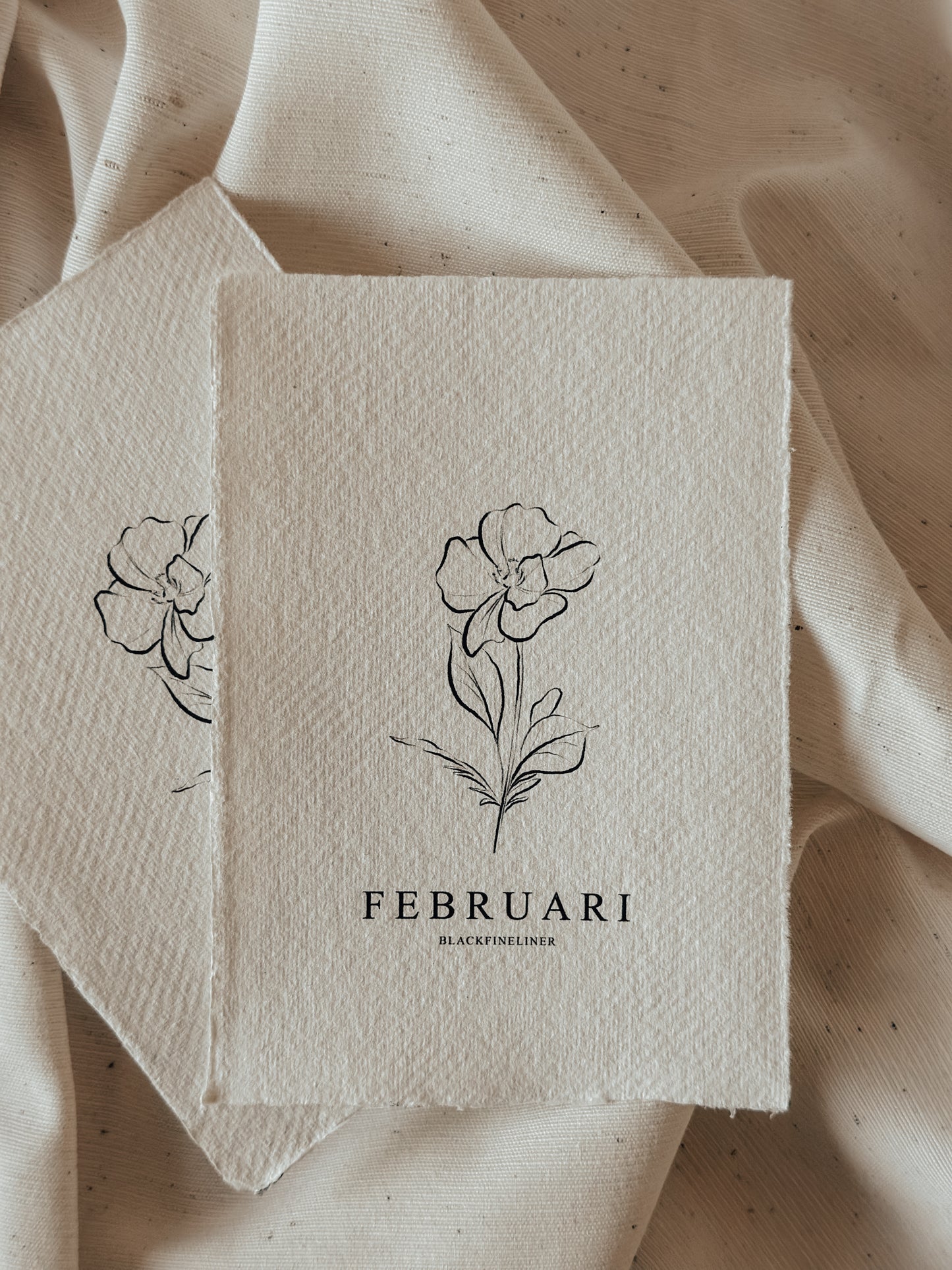 Geboortebloem Februari - Viooltje