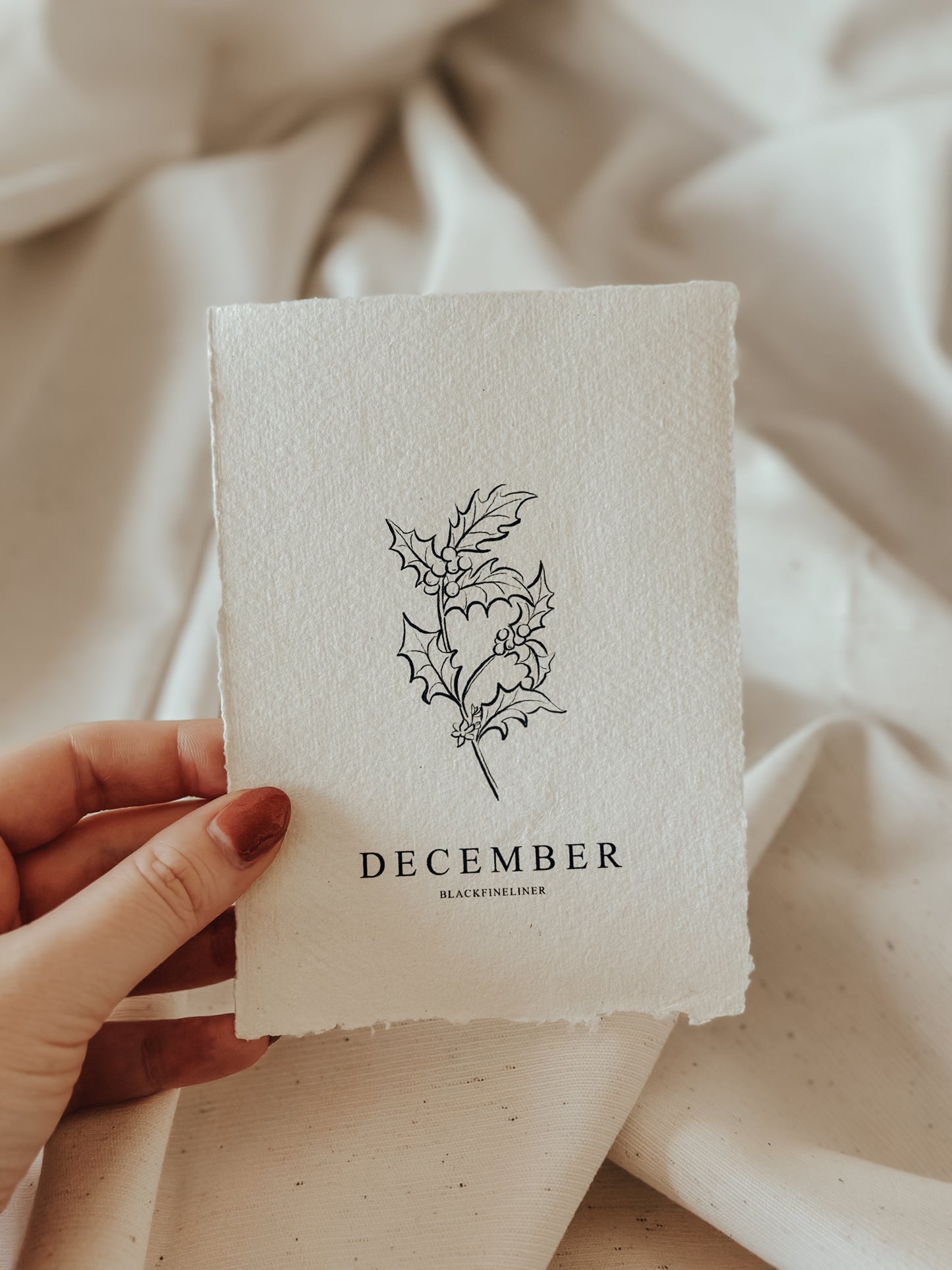 Geboortebloem December - Hulst