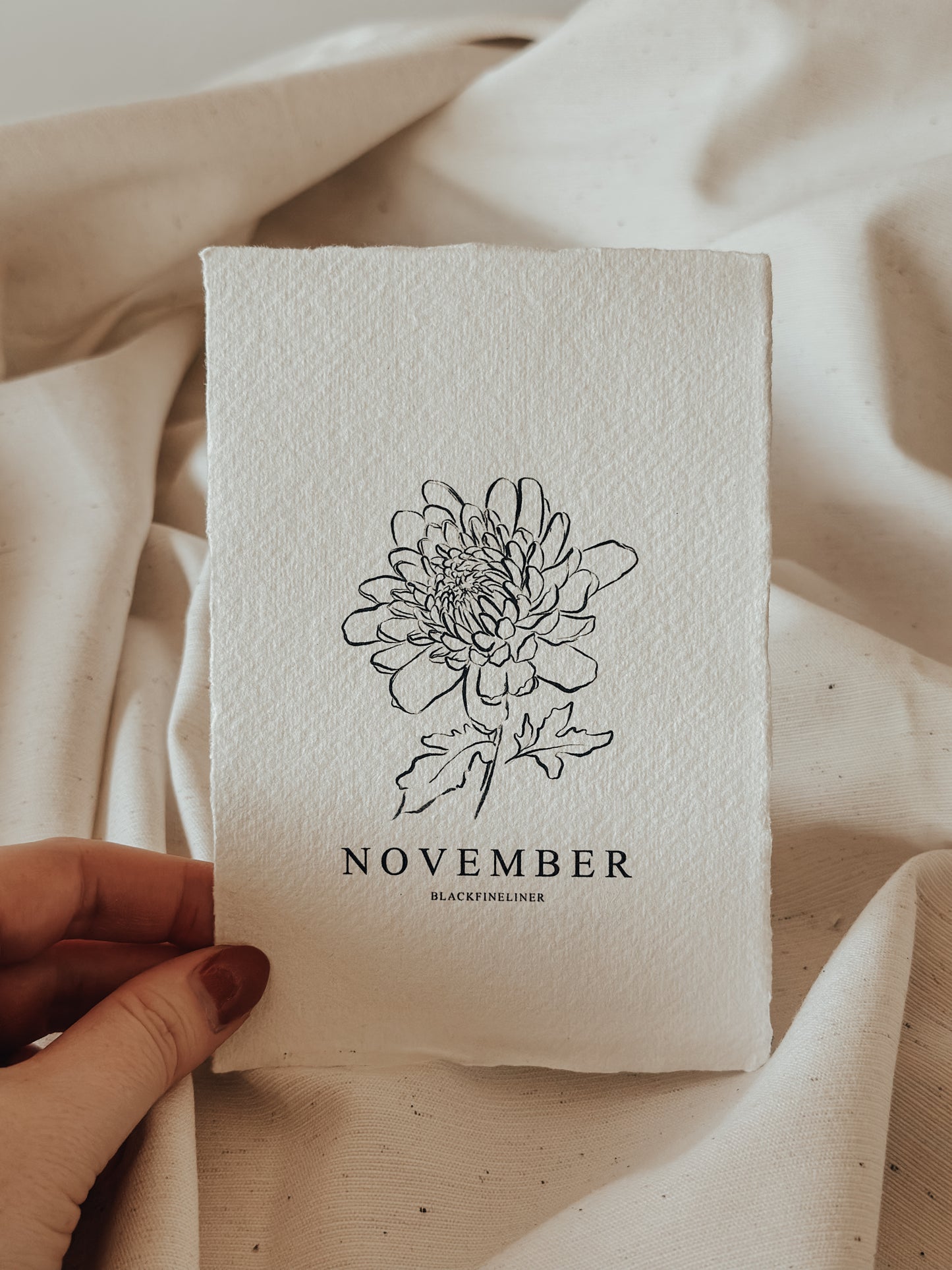 Geboortebloem November - Chrysant