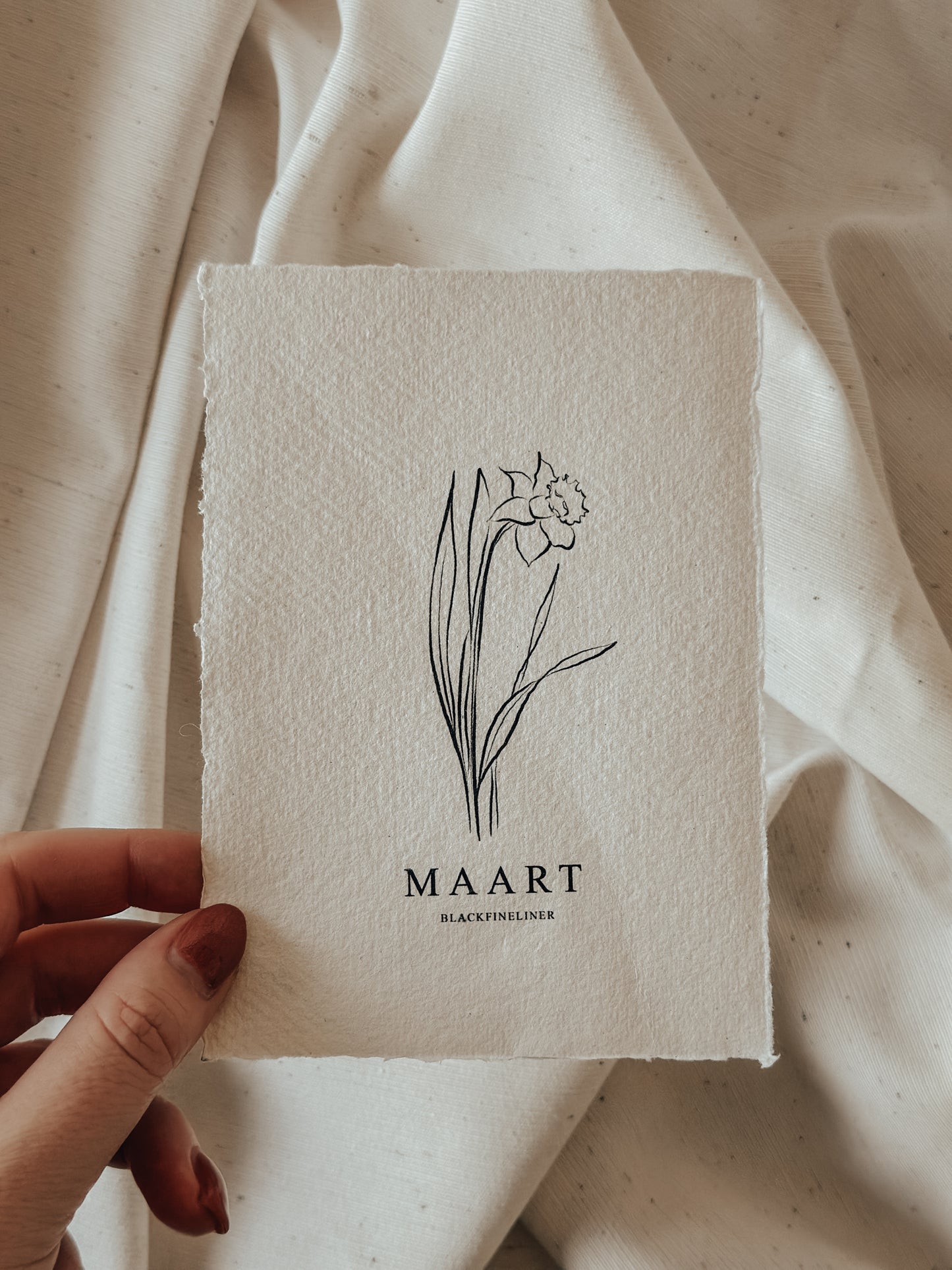 Geboortebloem Maart - Narcis