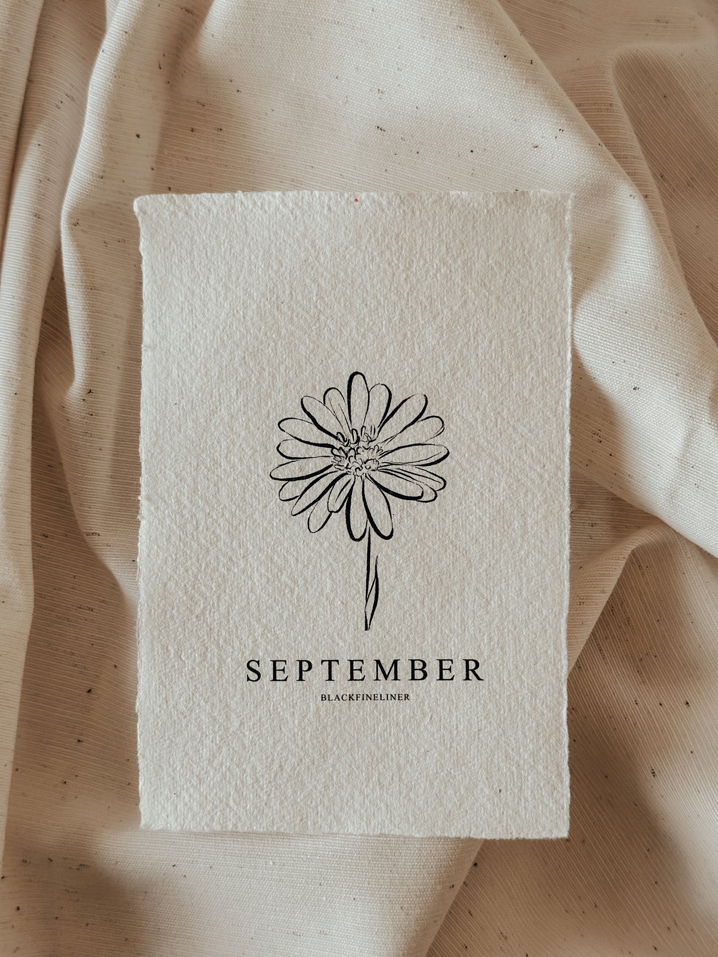Geboortebloem September - Aster
