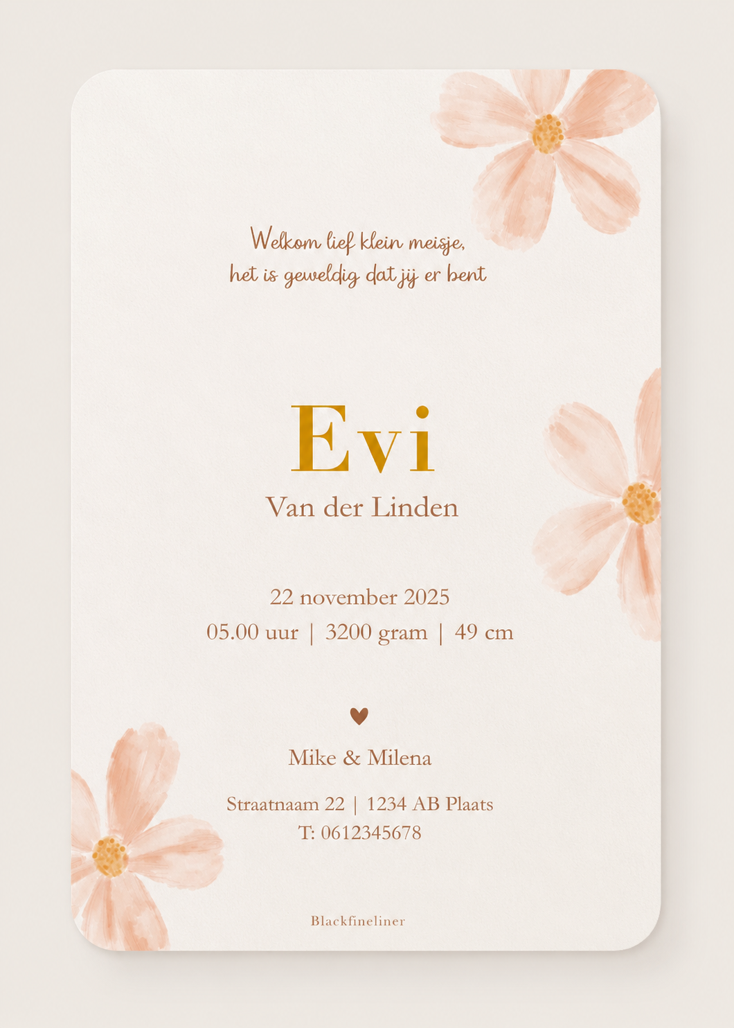 Kaartje Evi
